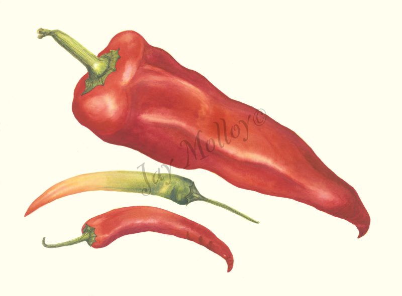 Red Pepper & Chillies